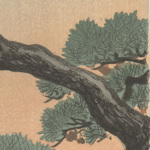 A Japanese tree