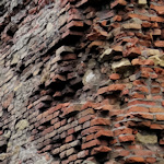 Close up of city wall