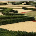 Belvedere gardens in winter