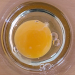 An egg yolk