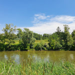 View of the Donaukanal shore