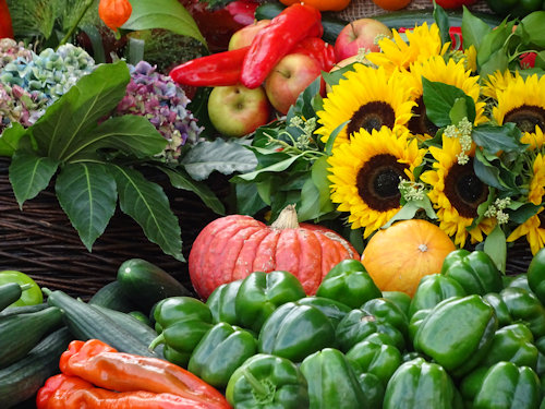 Harvest fruit and vegetables