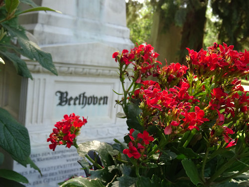 Flowers at Beethoven's grave