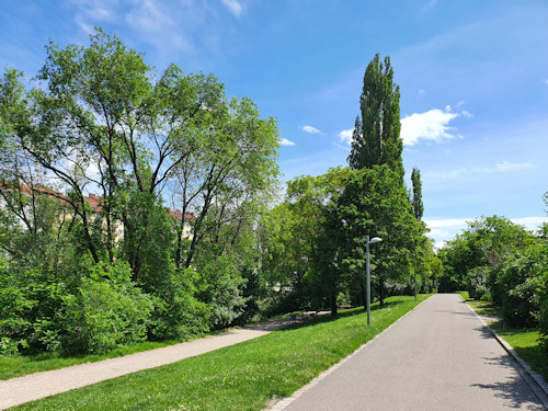 Footpath and cycle path