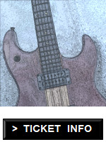 Guitar shape