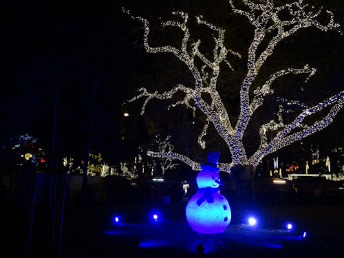 Illuminated tree in the Rathauspark