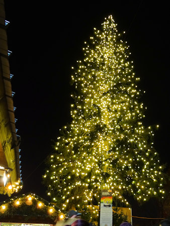 The Rathaus Christmas tree