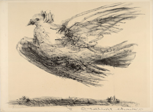 Pablo Picasso's Dove in Flight lithograph