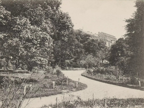 The botanic gardens near Belvedere sometime before 1905