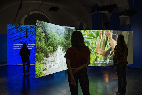 Large photo and video displays