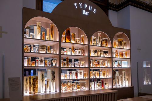Preserved animals in liquid containers